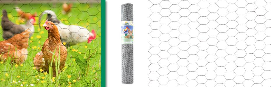 kippendraad promotie